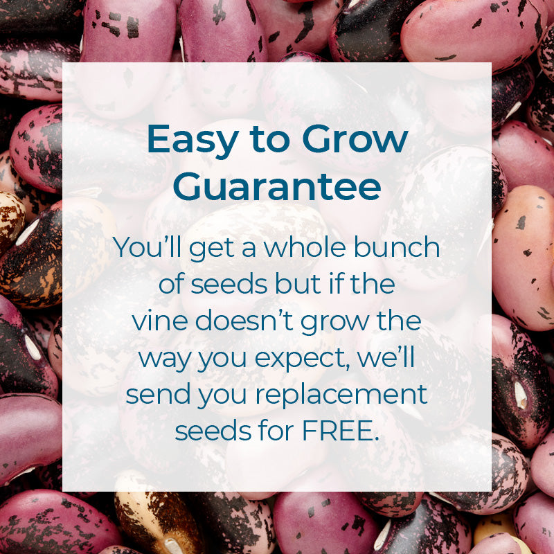 Easy to grow guarantee. You'll get a whole bunch of seeds but if your play tent doesn't grow as expected, we'll send you replacement seeds for FREE.