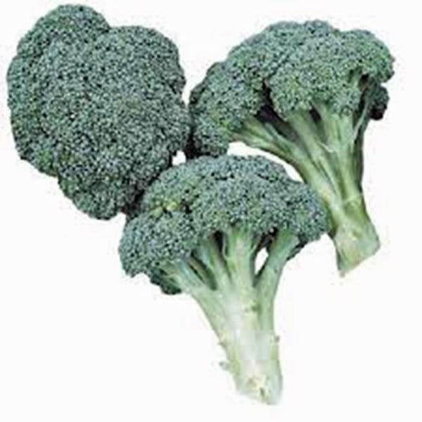 Broccoli, Waltham 29, Heirloom, Organic, Non Gmo  Seeds, Delicious And Healthy