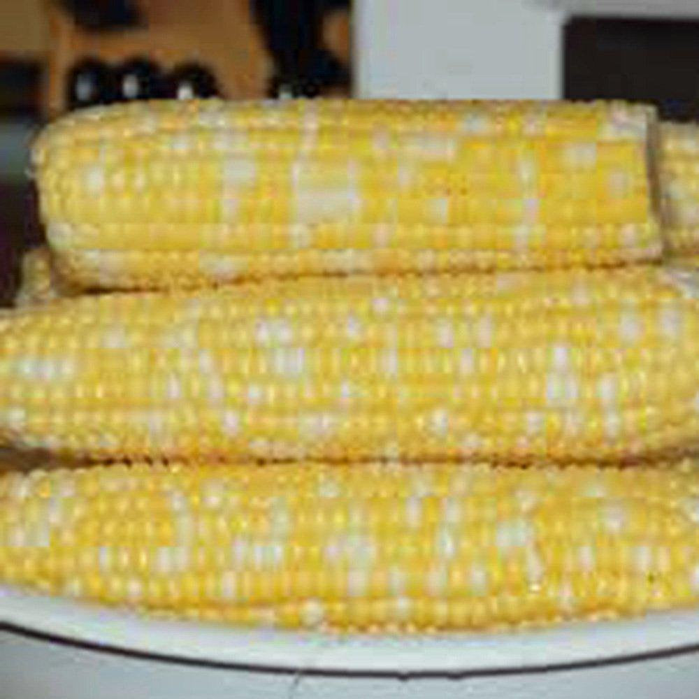organic corn seeds for planting Corn Seed Garden Collection, Non GMO, Heirloom, Organic Seeds, 6 Top V