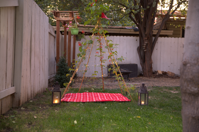 tent trellis LIVING GROWING TRELLIS TENT + VEGETABLE SEEDS- FOR PLANTING, VINING AN