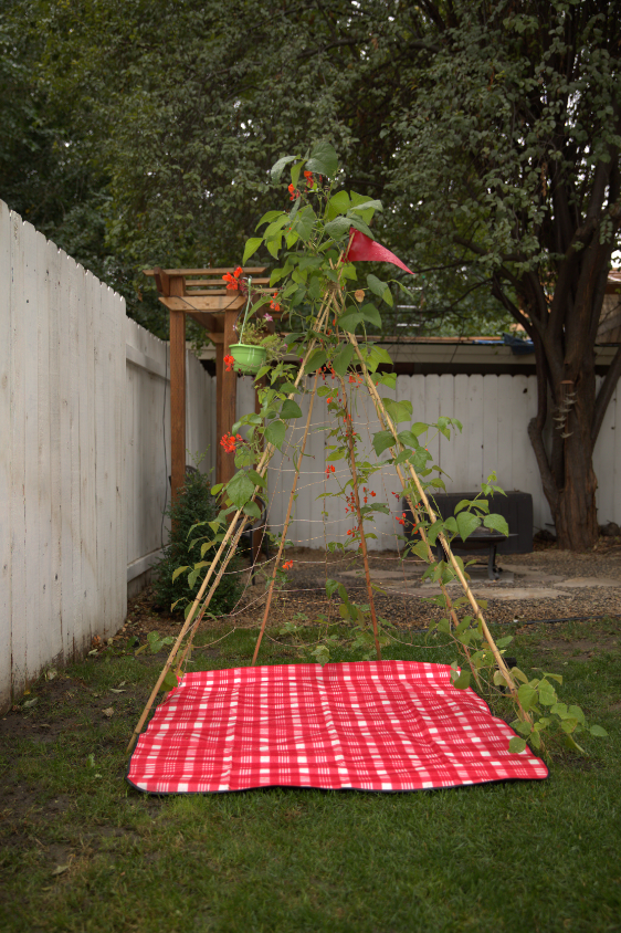 LIVING GROWING TRELLIS TENT + VEGETABLE SEEDS- FOR PLANTING, VINING AND PLAYING.