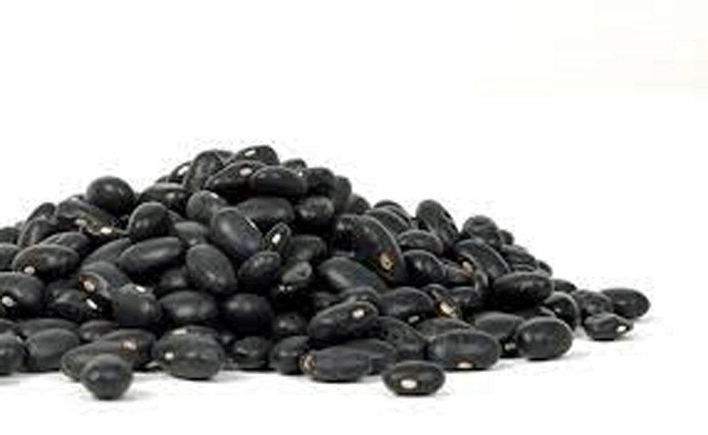 Bean Seed, Black Turtle Bush Bean, Heirloom, Organic, NON GMO Seeds, Terrific Black Beans