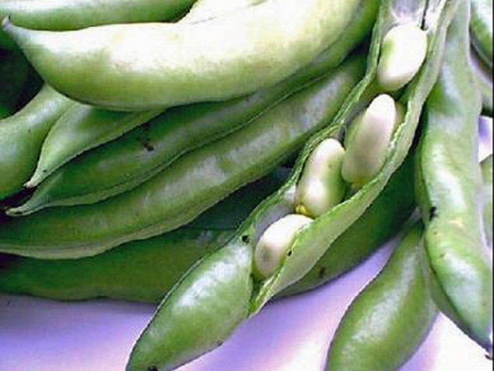 Bean Seeds, Bean Seed Mix Garden Collection 6,  Heirloom, Organic, NON-GMO  Seeds, 6 Top Varieties