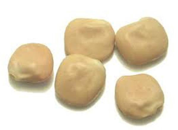 Bean, Fordhook Lima Bush,heirloom, Organic, Non Gmo Seeds, Great Nutty  & Buttery Taste