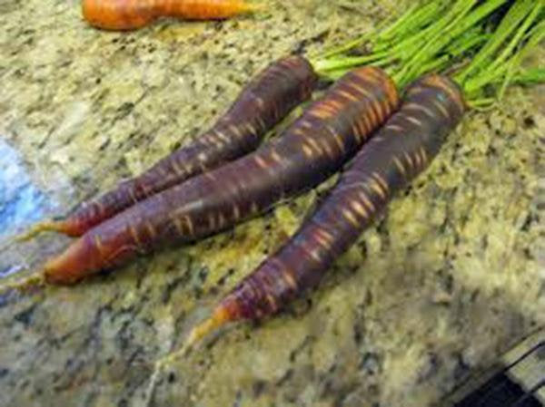 Carrot, Purple Haze, Hybrid, Organic Non Gmo Seeds, Unusual Delicious And Sweet