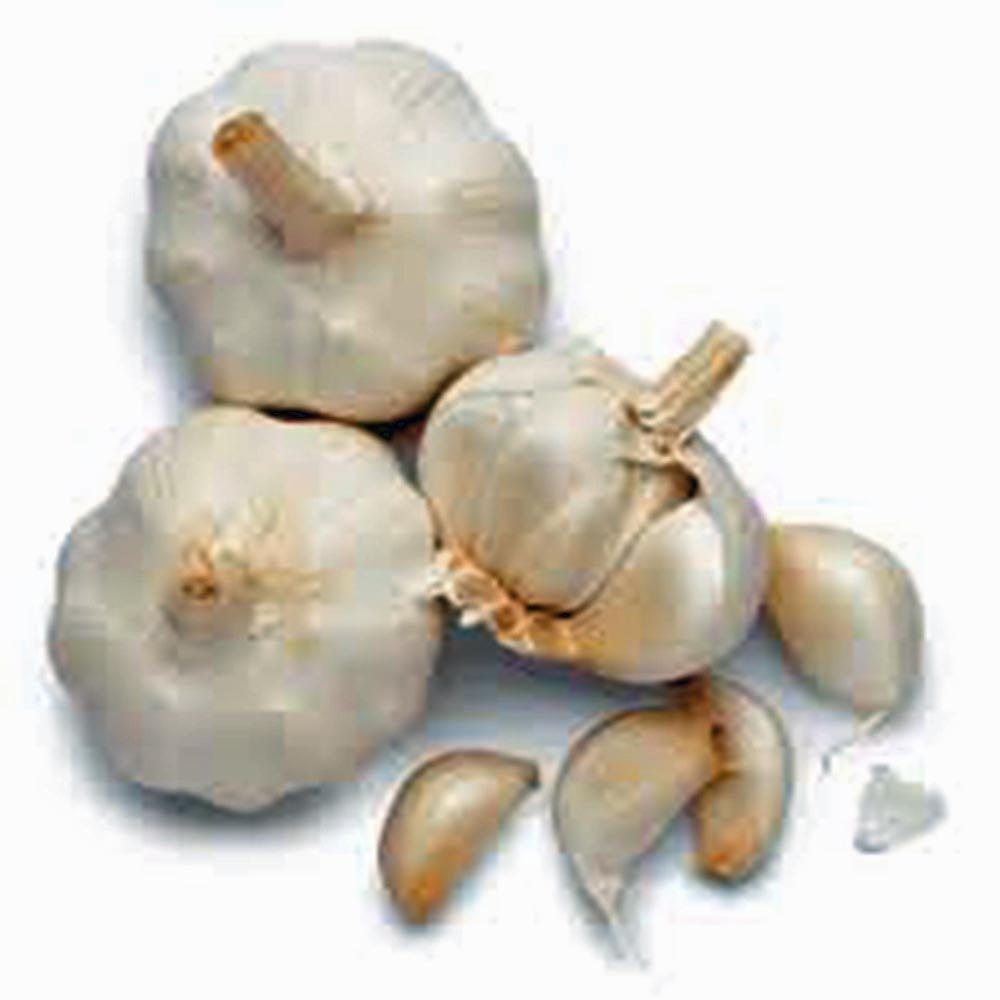 Garlic Bulbs , Whole Fresh California Softneck Garlic Bulb Sold By The Bulb.   Garlic For Planting And Growing Your Own Garlic. This Garlic