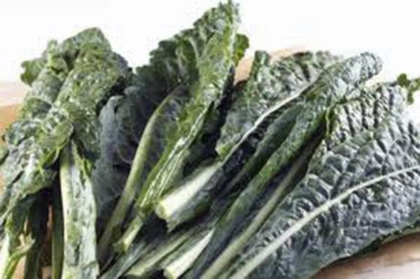 Kale, Premier, Organic Non-gmo Seeds, Great For Salads, Cooking, High In Antioxidant