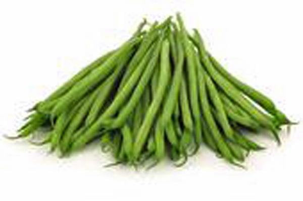 Bean Seeds , Kentucky Wonder Pole Green Bean, Heirloom, Organic, Non Gmo Seeds, Classic Bean