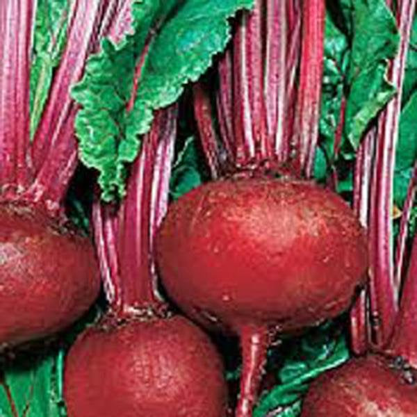 Beets,detroit Dark Red, Heirloom, Organic, Non Gmo Seeds, Tender And Sweet, Deep Red