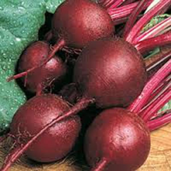 Beets,ruby Queen, Heirloom, Organic, Non Gmo Seeds, Tender And Sweet, Deep Red