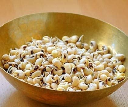 Black Eyed Pea Seed, Microgreen, Sprouting, Organic Seed, NON GMO - Country Creek LLC Brand - High Sprout Germination- Edible Seeds, Gardeni