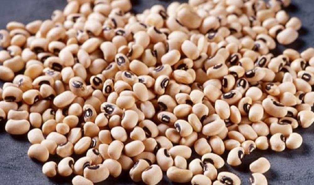 Black Eyed Pea Seed, Microgreen, Sprouting, Organic Seed, NON GMO - Country Creek LLC Brand - High Sprout Germination- Edible Seeds, Gardeni