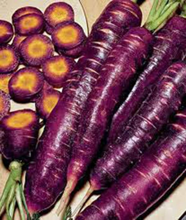 Carrot, Purple Haze, Hybrid, Organic Non Gmo Seeds, Unusual Delicious And Sweet