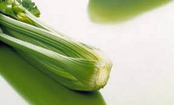 Celery, Utah Tall, Non-gmo Seeds Heirloom Organic, Crisp Sweet Flavor Great Tasting