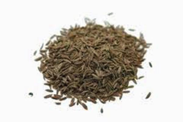 Cumin Seeds, Heirloom, Organic, Non-gmo Seeds, Delicious Seeds, Leaves Great For Salads