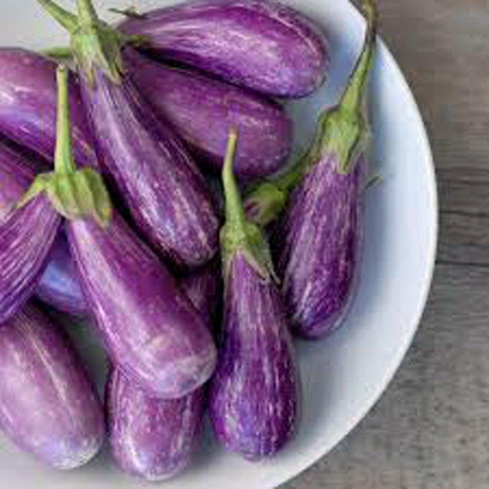 Eggplant Seeds , Long Purple Eggplant seeds, Heirloom, Organic, NON-GMO seeds,