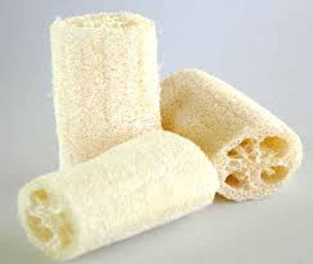 Gourd Luffa Seeds, Luffa Gourd Sponge Seeds, Organic , NON GMO, Grow your own Luffa Gourds and discover even more uses for this fascinating,