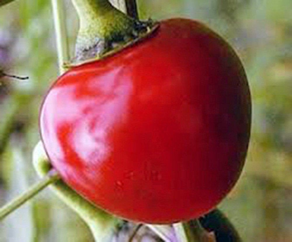 Hot Pepper Seed Mix Garden Collection, Heirloom, Organic Seeds, 7 Top Seeds