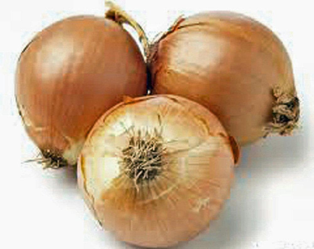 Onion, Yellow Spanish onion seeds, Heirloom, Organic , NON- GMO, One of the most popular for gardeners, this jumbo-sized onion is mild with